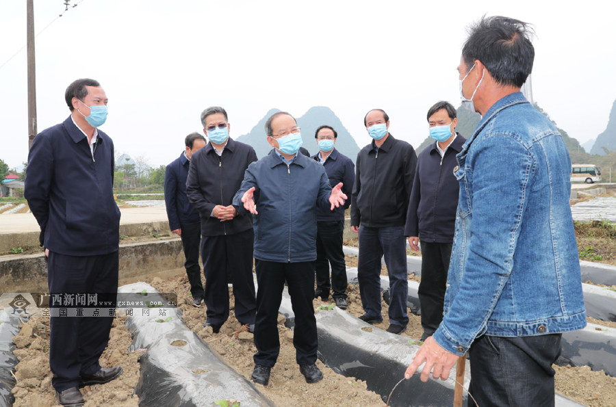 鹿心社深入那坡县和靖西市调研