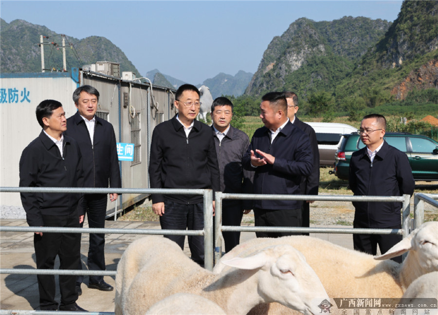 刘宁在南宁百色河池三市调研