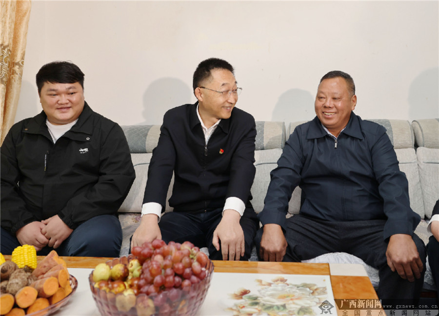 刘宁在南宁百色河池三市调研