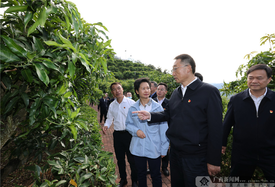 刘宁在南宁百色河池三市调研
