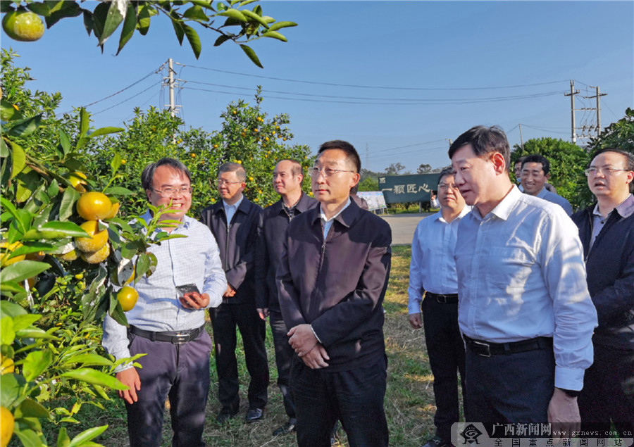 刘宁在南宁百色河池三市调研