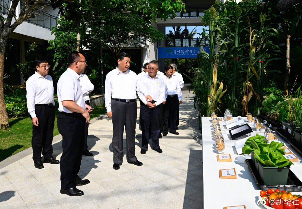 习近平在海南五指山市考察调研