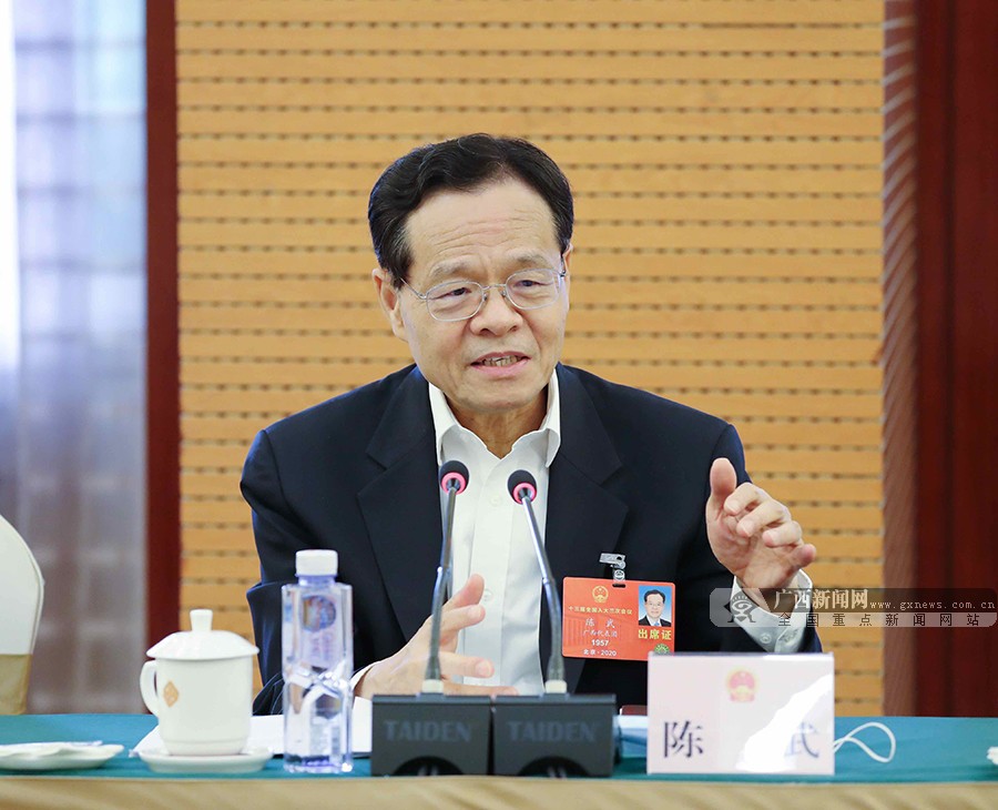 广西代表团分组审议全国人大涉港决定草案 鹿心社陈武等参加审议