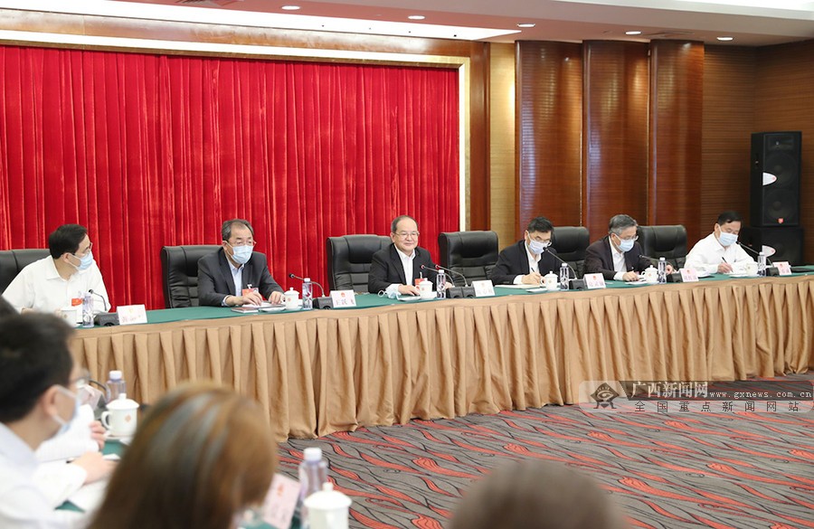 广西代表团分组审议全国人大常委会工作报告 鹿心社陈武等参加审议