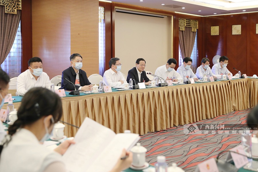 广西代表团分组审议全国人大常委会工作报告 鹿心社陈武等参加审议