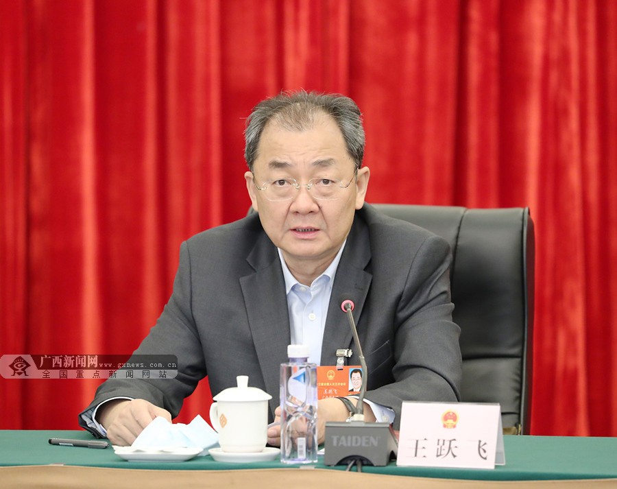 广西代表团分组审议全国人大常委会工作报告 鹿心社陈武等参加审议